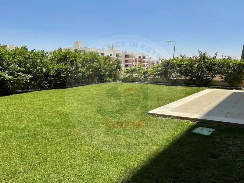 apartment for rent in palm hills