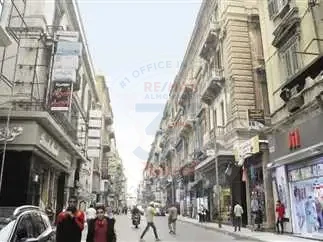شارع القصر العيني