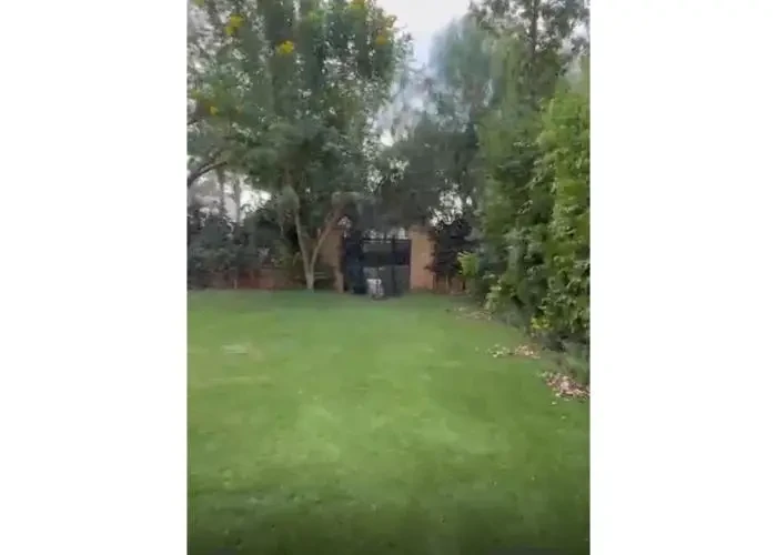 ستاند الون للأيجار في ميفيدا