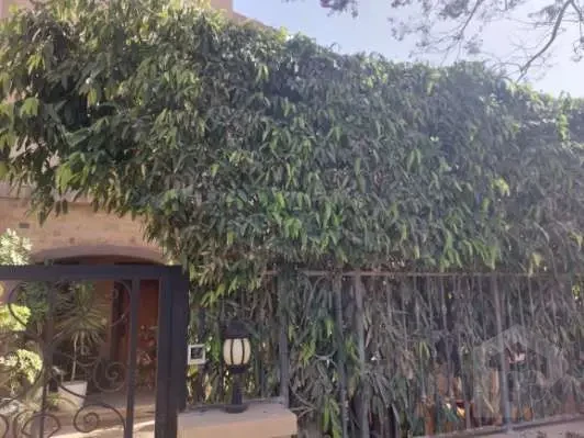 للبيع في ميفيدا